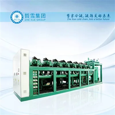 Agregat skraplający z BITZER Low Temp. Stojaki kompresorowe